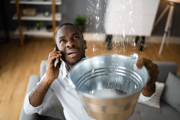 Best Flood damage cleanup  in Osseo, WI