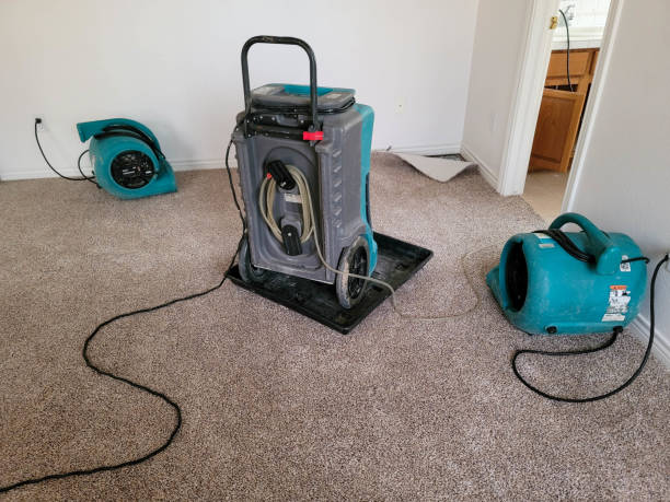 Sewage cleanup and water damage restoration in Osseo, WI