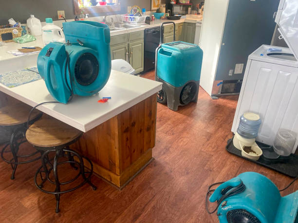 Best Water damage restoration near me  in Osseo, WI