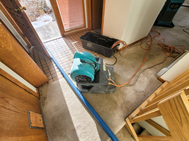 Best Mold removal after water damage  in Osseo, WI