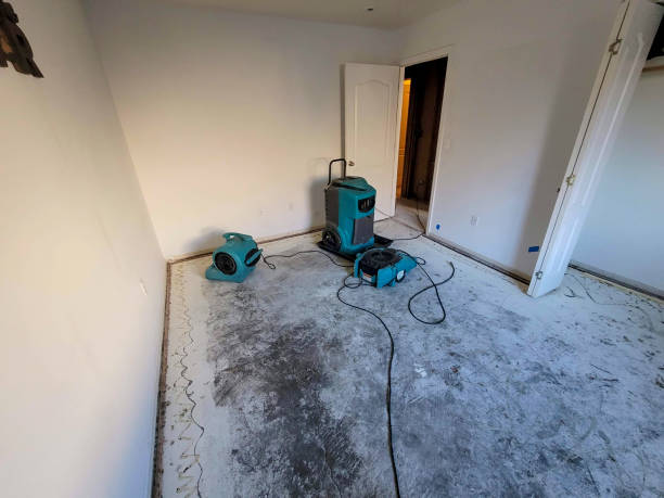 Best Local water damage restoration  in Osseo, WI