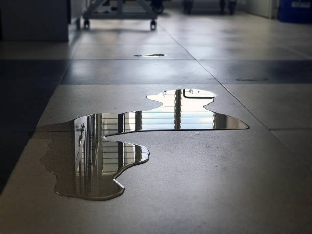 Best Water damage cleanup near me  in Osseo, WI