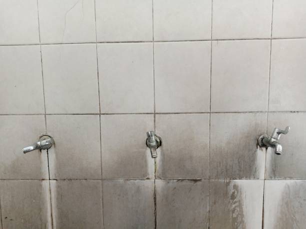 Best Water damage restoration mold remediation  in Osseo, WI