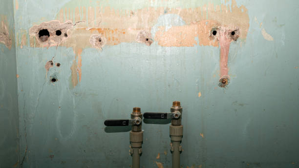 Best 24/7 water damage repair  in Osseo, WI